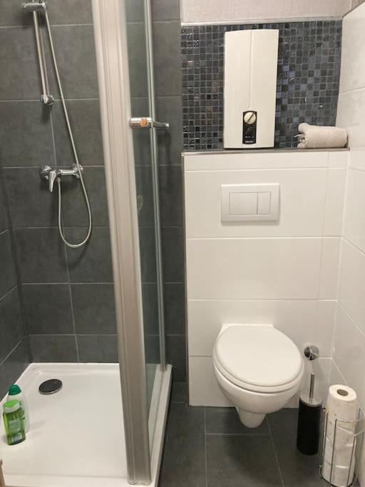 Toll Apartment Am Rhein Netflix Internet 1000 Mbits, Free Parking Дуйсбург Екстер'єр фото